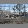 Harbin026.jpg