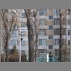 Harbin057.jpg